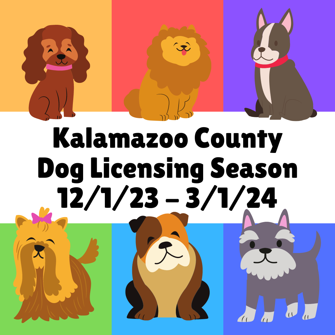 Dog Licenses